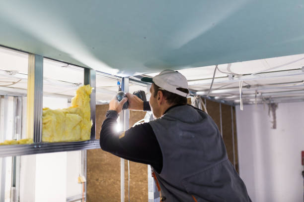 Best Types of Insulation in The Pinery, CO